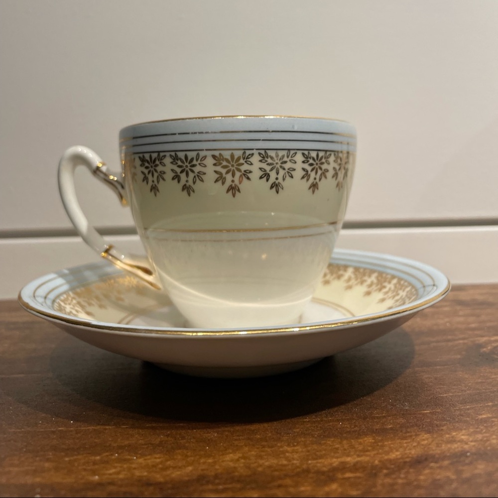 Blue yellow gold Gladstone teacup and saucer bone china